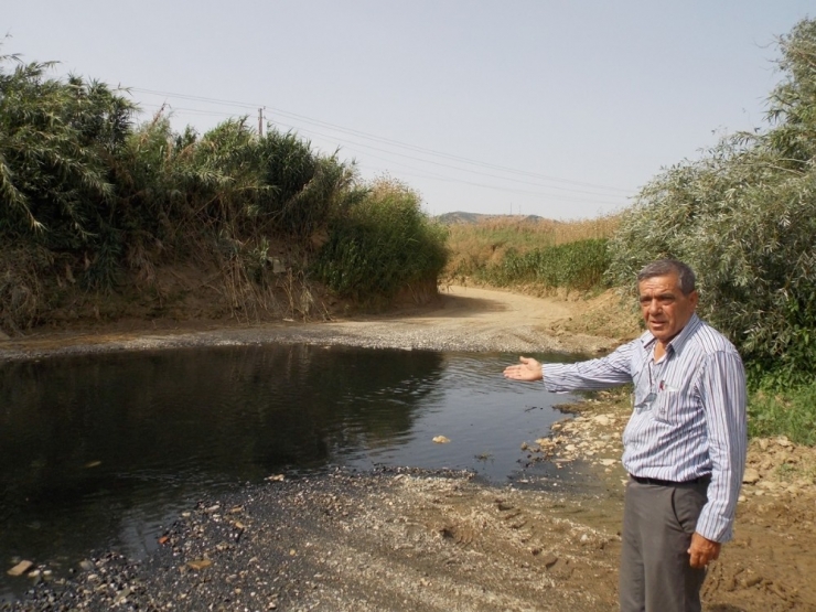 Küçük Menderes Kapkara