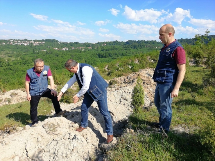 Bozuk Orman Arazisine Gelir Getirici Tür