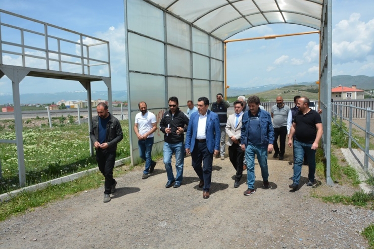 Başkan Demir, Hayvan Pazarında İncelemelerde Bulundu