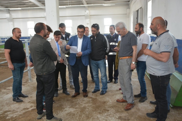 Başkan Demir, Hayvan Pazarında İncelemelerde Bulundu
