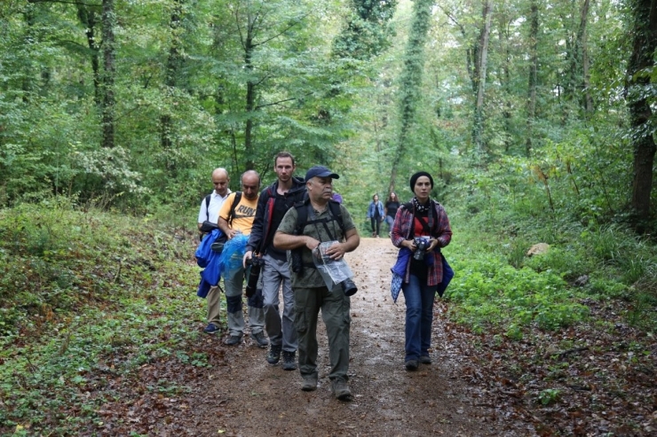 Ormanya, Bayramda Vatandaşları Ağırlamaya Devam Edecek