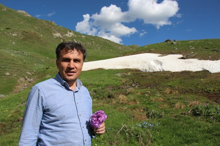 Terpink Yaylayasında Bahar