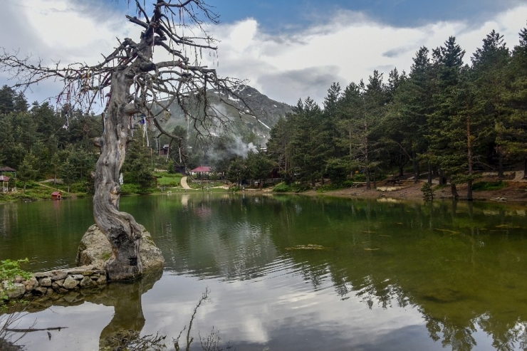 Sıcaktan Bunalan Soluğu Limni Gölünde Alıyor