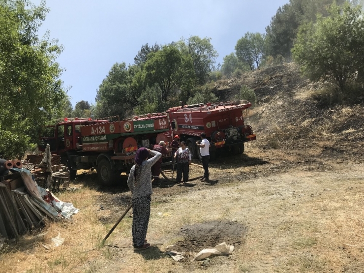 Akseki’de Orman Yangını