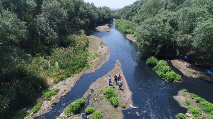 Gediz Simsiyah Zehir Akıyor