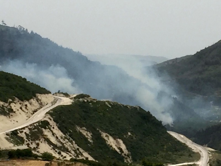Yayladağı’nda Sınırın Sıfır Noktasında Orman Yangını
