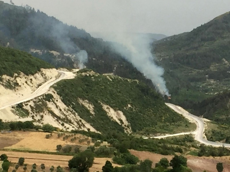 Yayladağı’nda Sınırın Sıfır Noktasında Orman Yangını