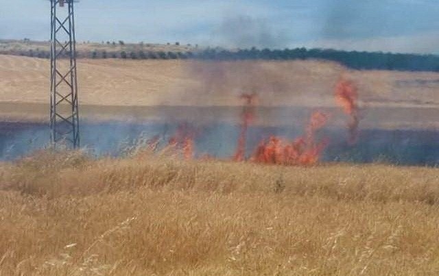 Besni’de Arpa Tarlası Yandı
