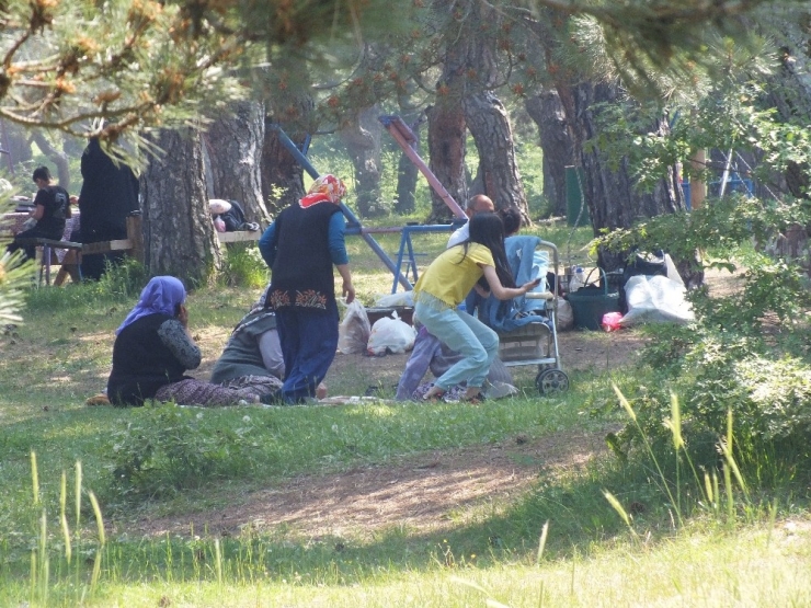 Küçükelmalı Tabiat Parkı Yerli Ve Yabancı Ziyaretçilerin Gözdesi Oldu