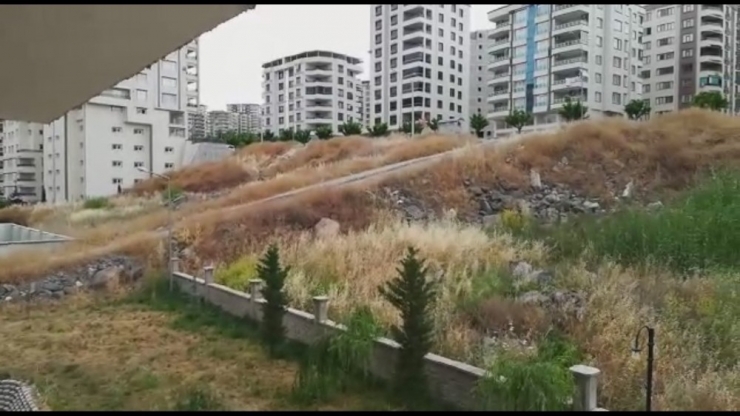 Sabah Saatlerinde Korkutan Anız Yangını