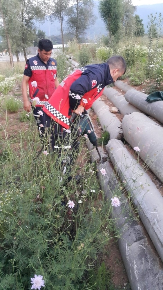 Beton Borunun İçine Sıkışan Köpeği İtfaiye Ekipleri Kurtardı