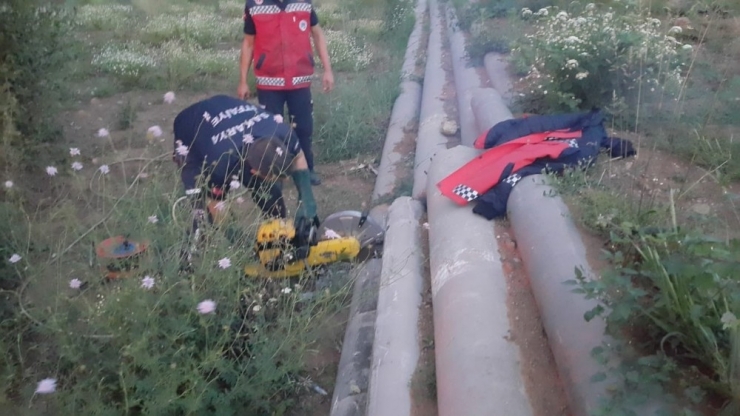 Beton Borunun İçine Sıkışan Köpeği İtfaiye Ekipleri Kurtardı