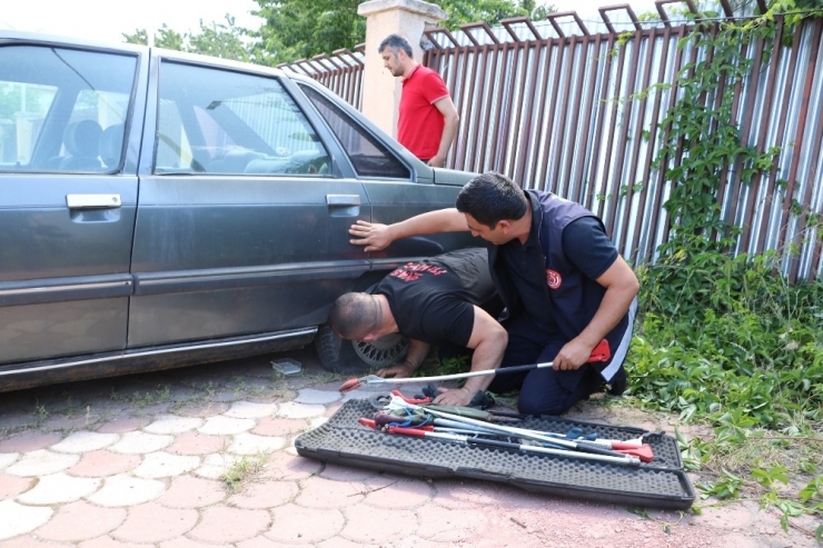 İtfaiye Ekiplerinden Yavru Kedi Kurtarma Operasyonu