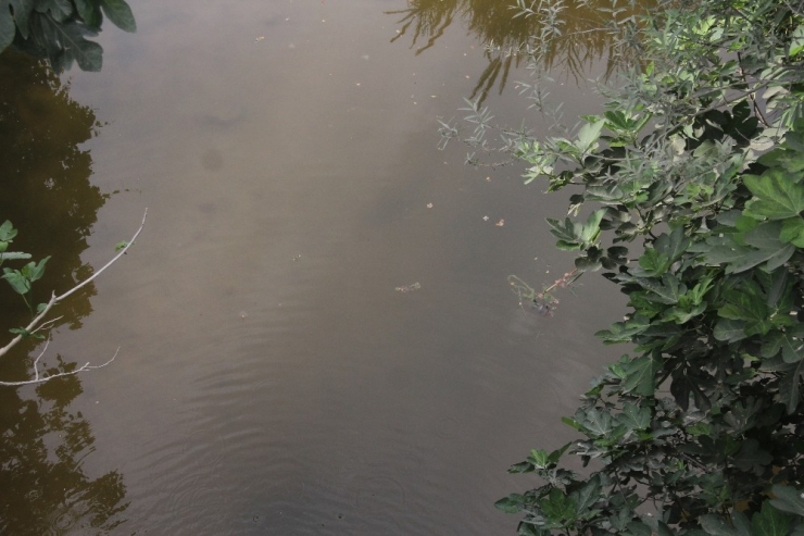 Savaşta Babasını Kaybeden Çocuk Su Birikintisinde Boğuldu