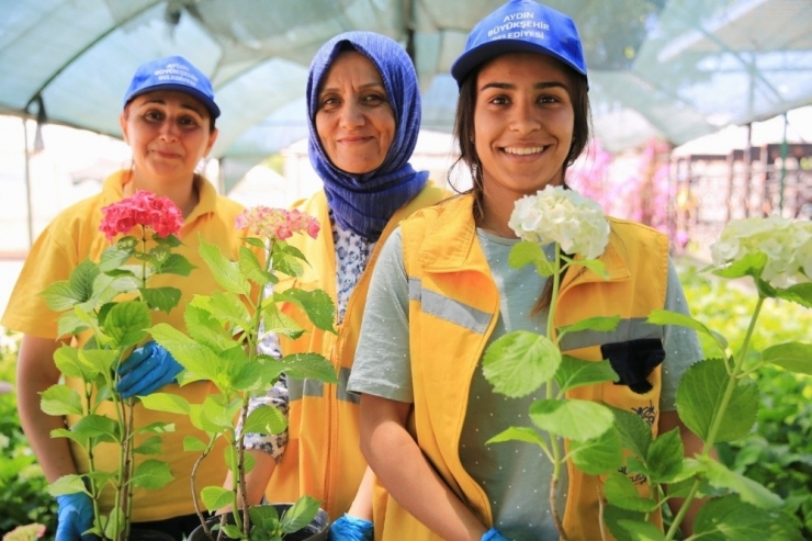 Aydın Çiçeklerle Güzelleşiyor