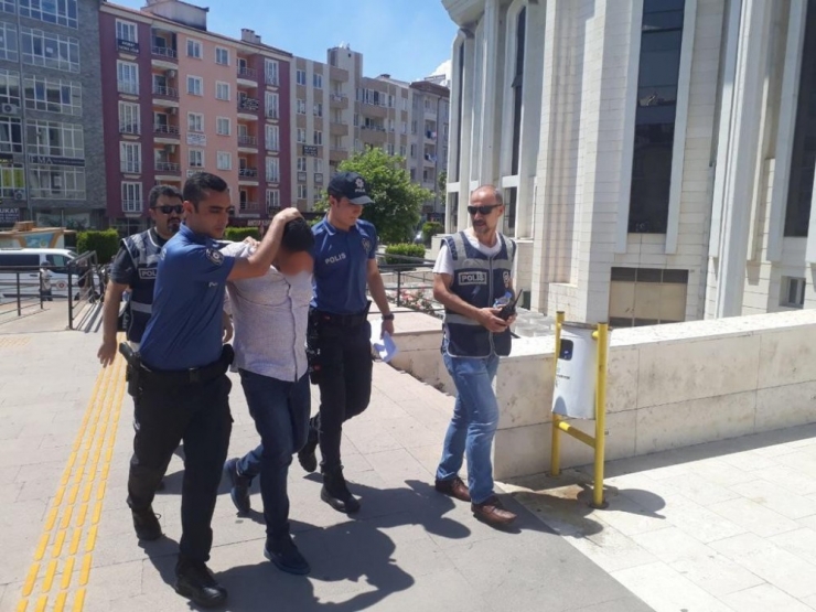 Edremit’te Bar Sahibi Polislere Pitbul Köpeği İle Engel Olmak İstedi