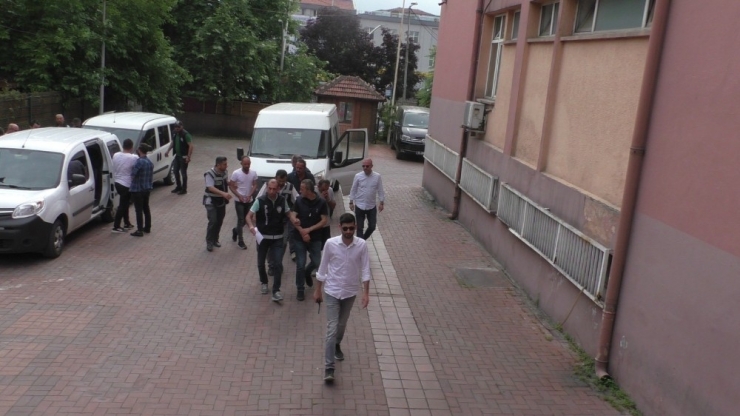 Çalıntı Kamyonetle, Hayvan Çaldılar