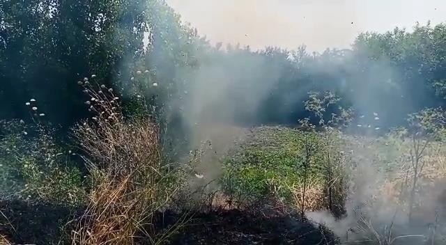 Unesco Dünya Miras Listesinde Bulunan Hevsel Bahçeleri Yanmaktan Son Anda Kurtuldu