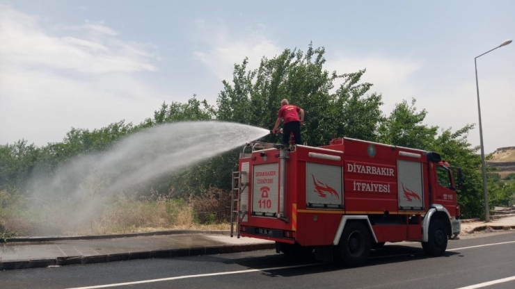 Unesco Dünya Miras Listesinde Bulunan Hevsel Bahçeleri Yanmaktan Son Anda Kurtuldu