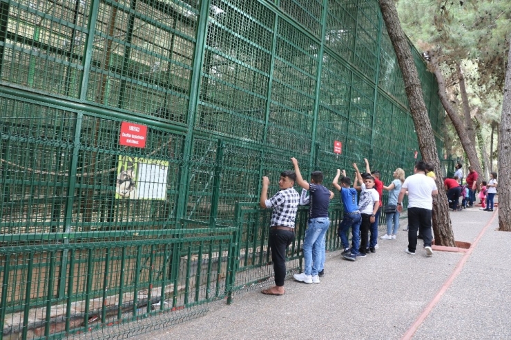 Gaziantep Hayvanat Bahçesine 3 Günde 600 Bin Ziyaretçi