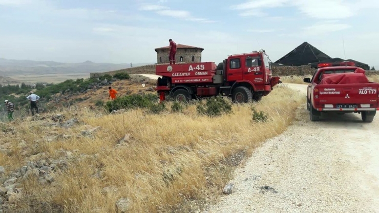 Nurdağı’nda Orman Yangını