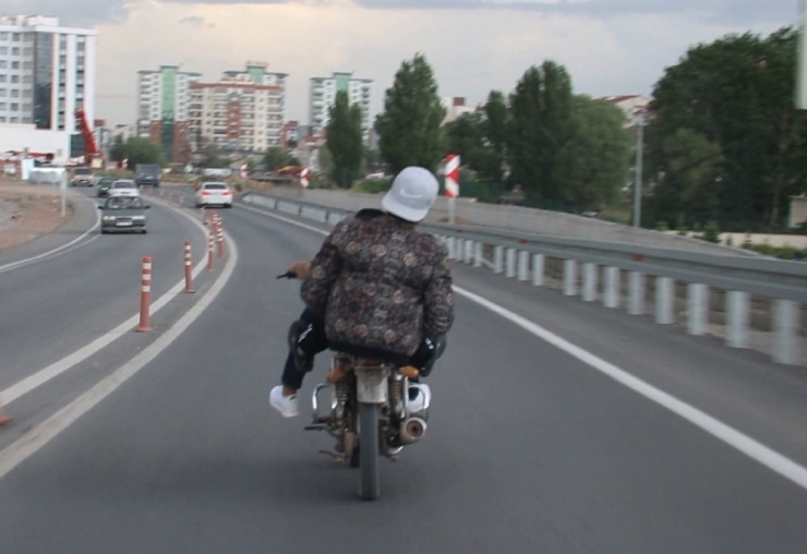 Seyir Halindeki Motosiklet Üzerinde Tehlikeli Hareketler