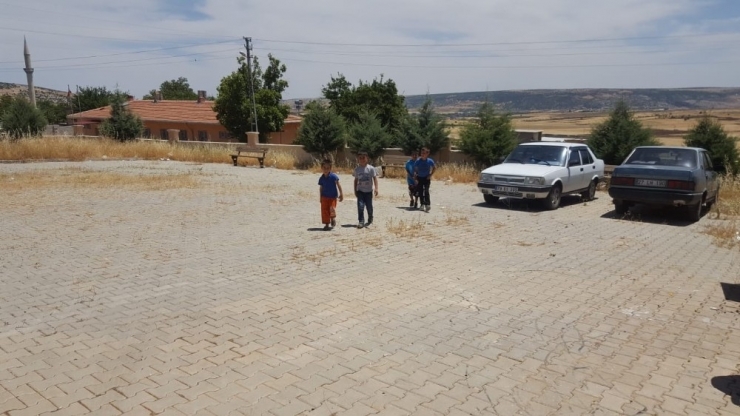 Akrebin Soktuğu Kız Çocuğu Hayatını Kaybetti