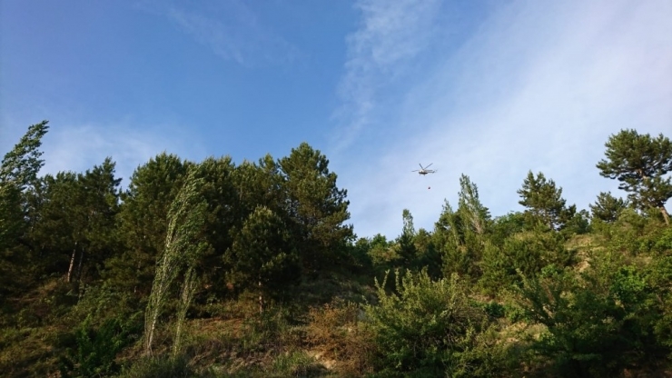 Pazarlar’da Orman Yangını