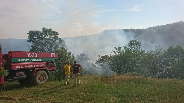 Pazarlar’da Orman Yangını