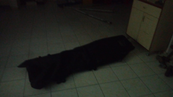 Başkent’te Sel Bilançosu: 3 Ölü