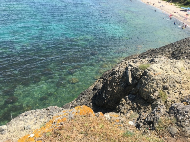 Beykoz’da Aile Pikniği Az Kalsın Faciaya Dönecekti