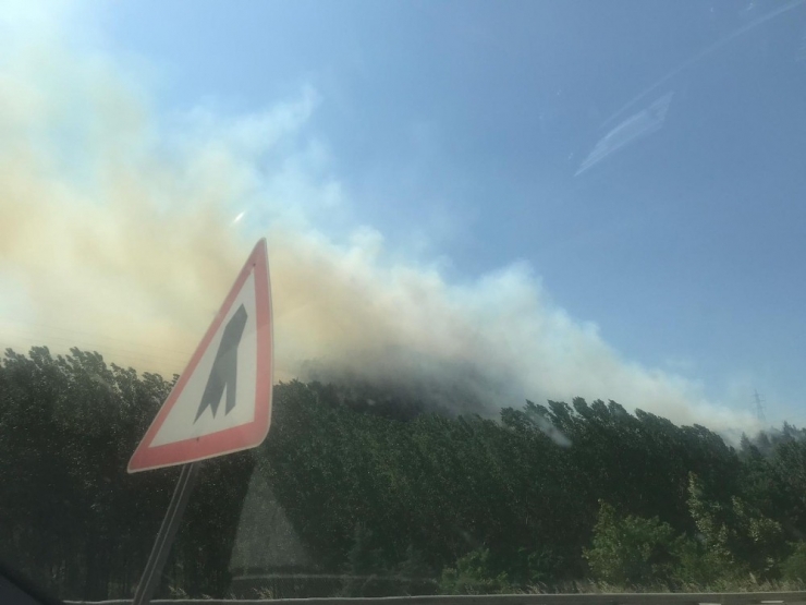 Bilecik’te Orman Yangını