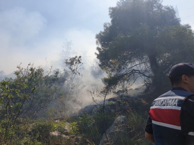 Bilecik’teki Orman Yangını Söndürme Çalışmaları Sürüyor