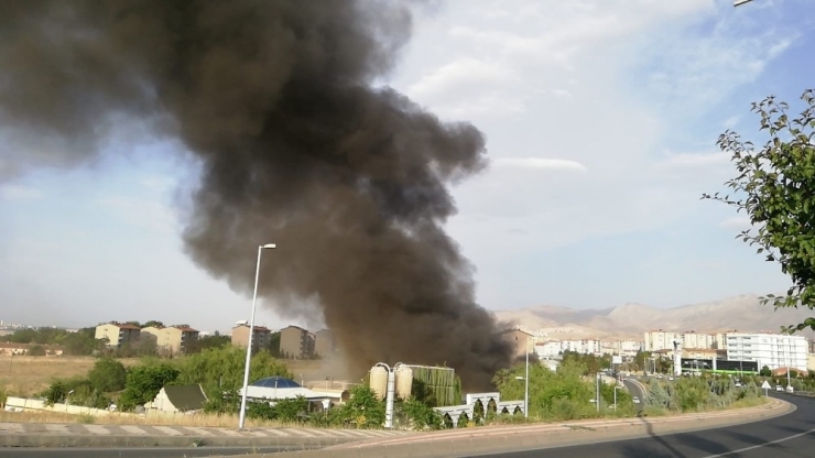 En Güzel Günleri Kabusa Döndü