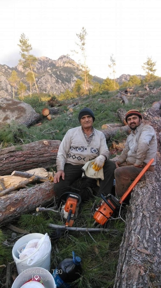 Kestiği Ağacın Altında Can Verdi