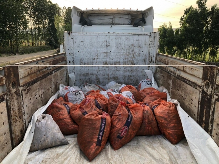 Jandarma Ekipleri Balık Nöbetinde