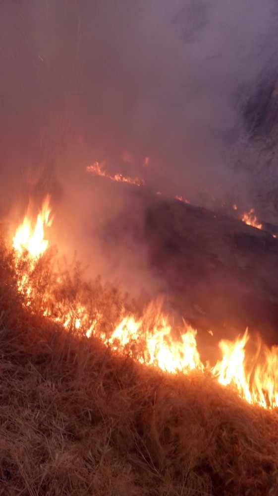 Van Kalesi’nin Güneyinde Ot Yangını
