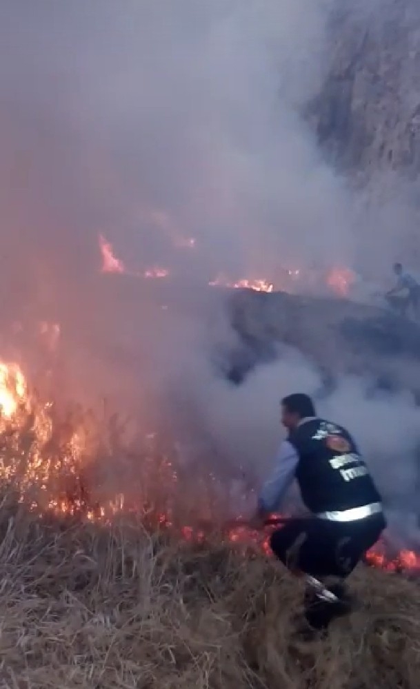 Van Kalesi’nin Güneyinde Ot Yangını