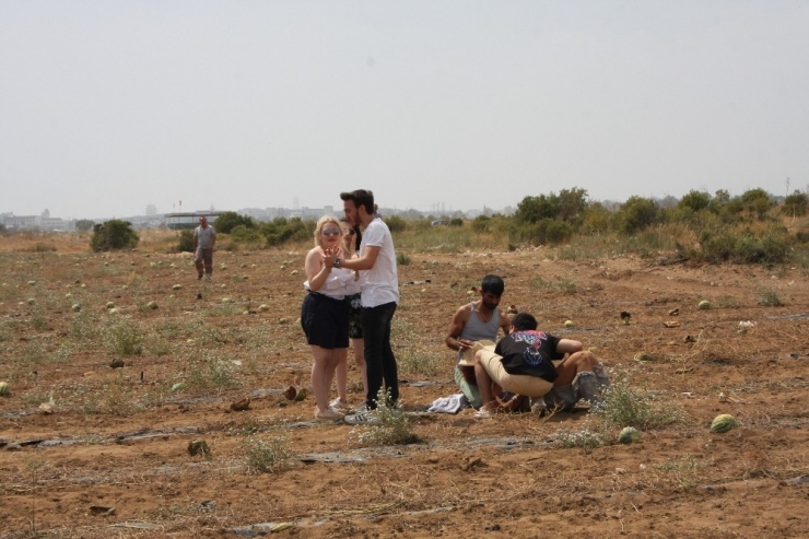 Eğitim Uçuşu Faciayla Sonlandı