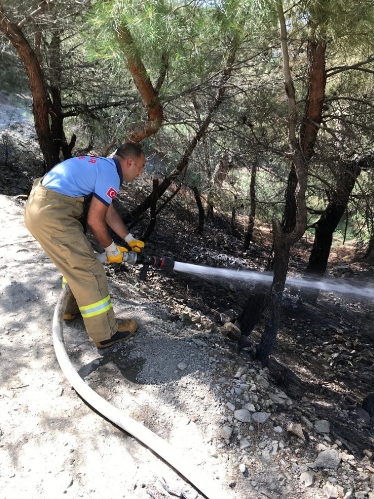 Islanan Elbiselerini Kurutmak İsteyen Çocuk Orman Yangınına Neden Oldu