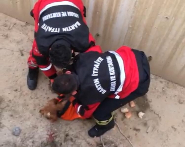 Su Kanalına Düşen Köpek Kurtarıldı