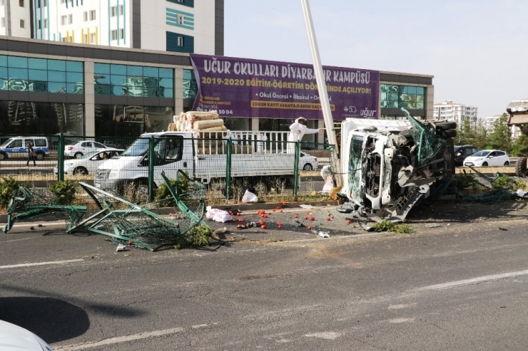 Diyarbakır’da Arı Saldırısı Alarmı