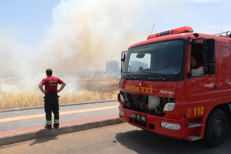 Diyarbakır’da Anız Yangınları Hayatı Felç Etti
