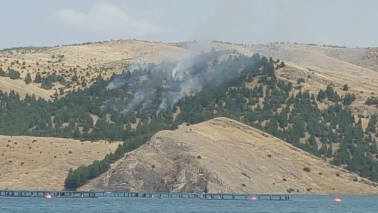 Ormanlık Alanda Yangın Çıktı, 3 Saatte Kontrol Altına Alındı