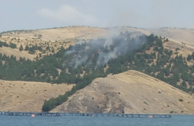 Ormanlık Alanda Yangın Çıktı, 3 Saatte Kontrol Altına Alındı