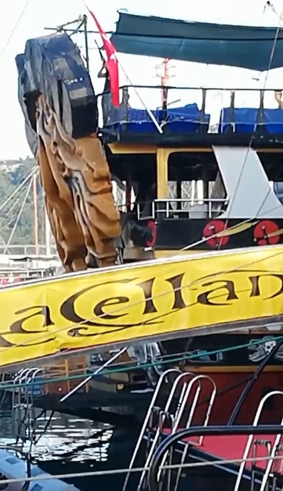 Sesinden Rahatsız Oldukları Kargaları Tüfekle Vurdular