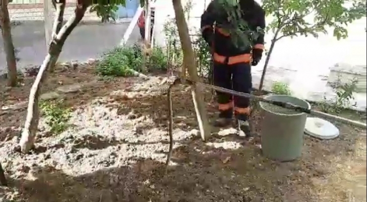 Evin Bahçesine Giren Yılan Yakalanarak Doğaya Bırakıldı