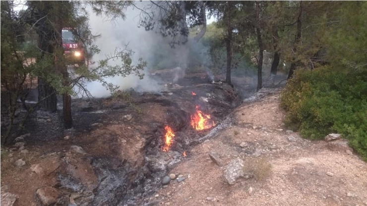Orman Yangını Anında Müdahaleyle Söndürüldü