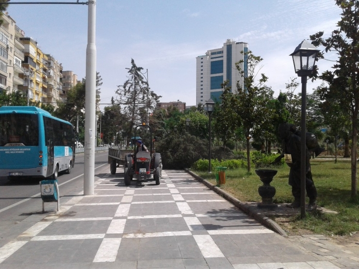 Rüzgardan Etkilenen Ağaçlar Yan Yatırdı