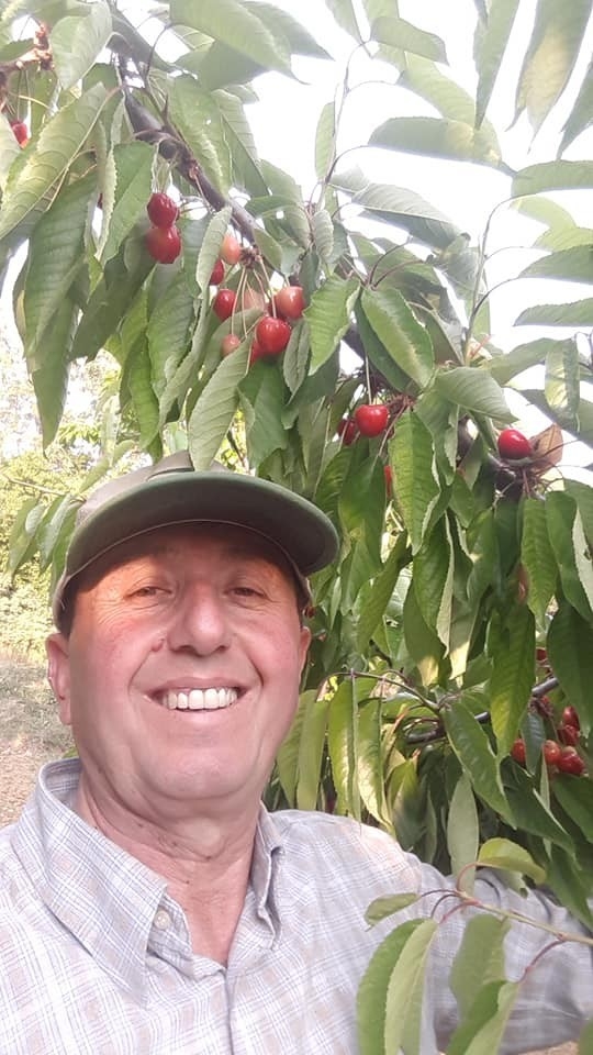 Şaphane Ziraat Odası Başkanı Kiraz Üreticisini Uyardı